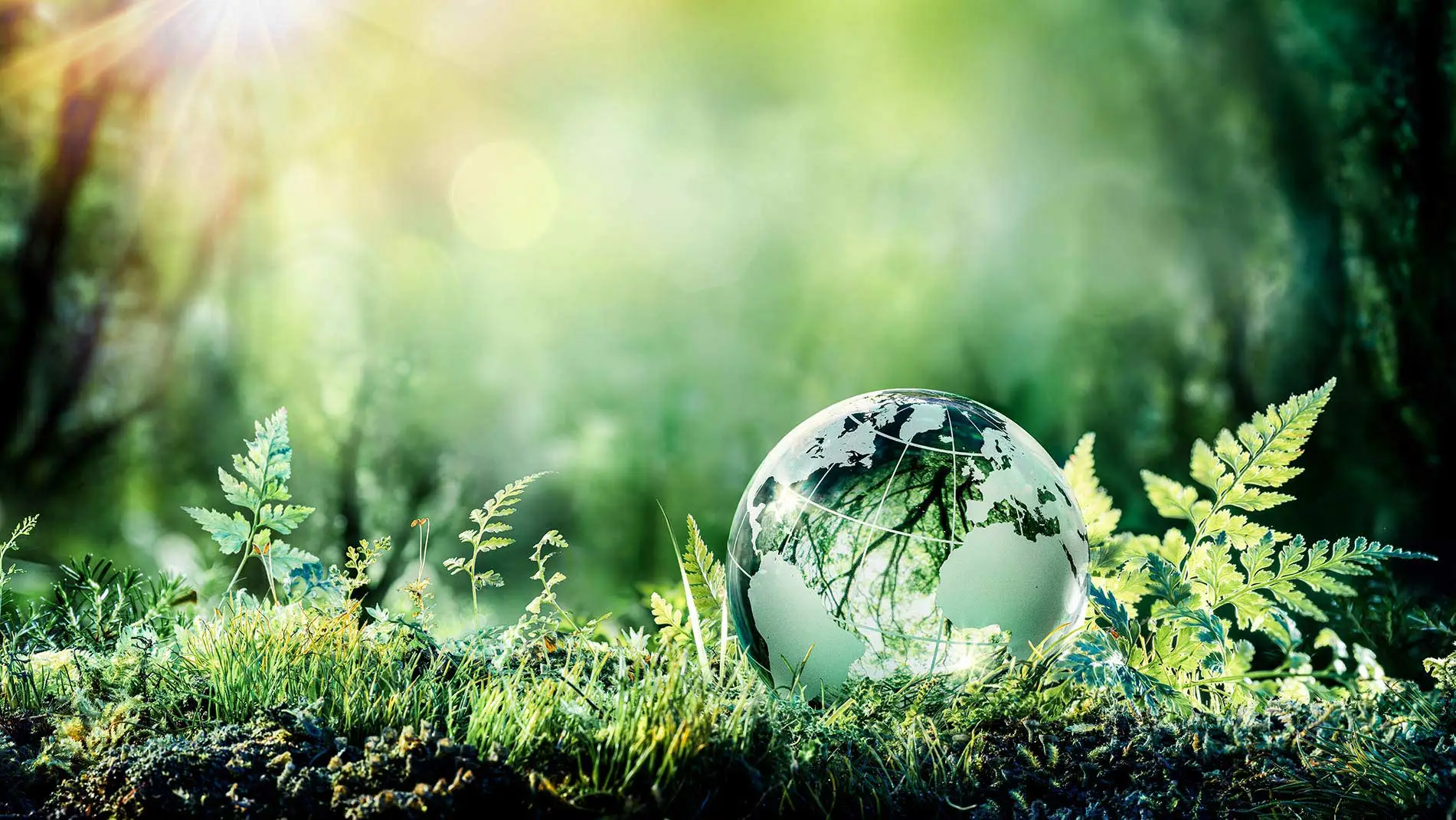 tagesbegleitend Reinigung